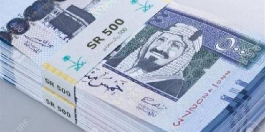 سعر الريال السعودي أمام الجنيه المصري في تعاملات اليوم الأحد 29-12-2024 - نبض مصر