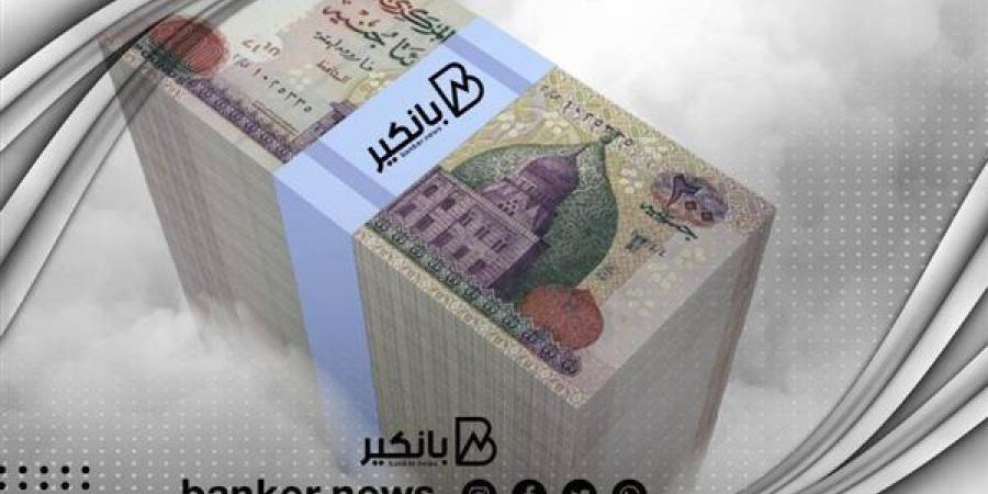 البنك العربي الافريقي الدولي يتيح شهادة ادخار بفائدة 27% يصرف يومياً 2025 - نبض مصر