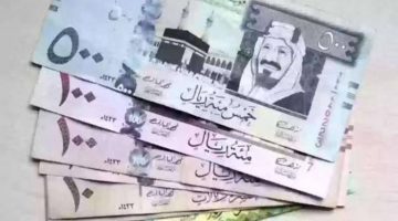 سعر الريال السعودي اليوم مقابل الجنيه المصري 1 يناير 2025.. استقرار ملحوظ بالبنوك