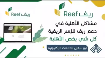 ما هي القطاعات الزراعية المستفيدة من برنامج دعم ريف؟