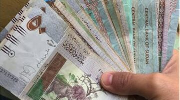 سعر الجنيه السوداني اليوم مقابل الجنيه المصري 14 يناير 2025.. استقرار ملحوظ وهذه توقعات السوق