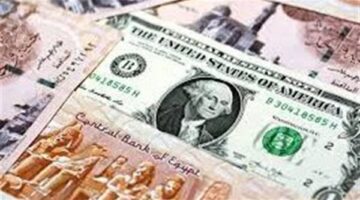 سعر الدولار مقابل الجنيه المصري اليوم الأحد 12 يناير 2025