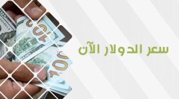 الأخضر فقد السيطرة : تحرك أسعار الدولار بمنتصف التعاملات في البنك الاهلي وبنوك مصر  وهذا سعر الريال السعودي والعملات الاجنبية بكام في السوق السوداء؟