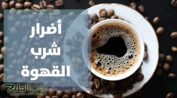 تحب تناول القهوة.. إليك ما سيحدث لجسمك بعد تناول 3 أكواب منها