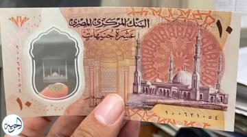 سعر الجنيه المصري يقفز مقابل الجنيه السوداني وهبوط  قيمة الريال اليوم الأحد 12 يناير 2025