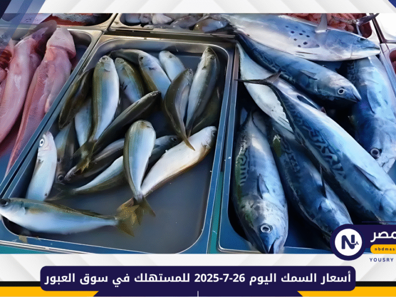 أسعار السمك اليوم 26-7-2025 للمستهلك في سوق العبور
