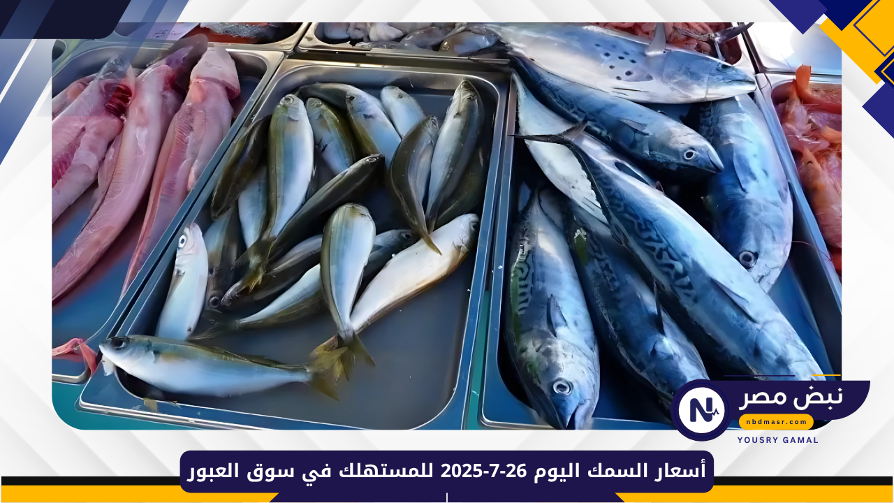 أسعار السمك اليوم