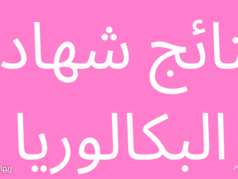 التربية والتعليم السورية تعلن.. خطوات الاستعلام عن نتائج البكالوريا سوريا 2025 برابط مباشر وطرق البحث بالاسم أو رقم الاكتتاب