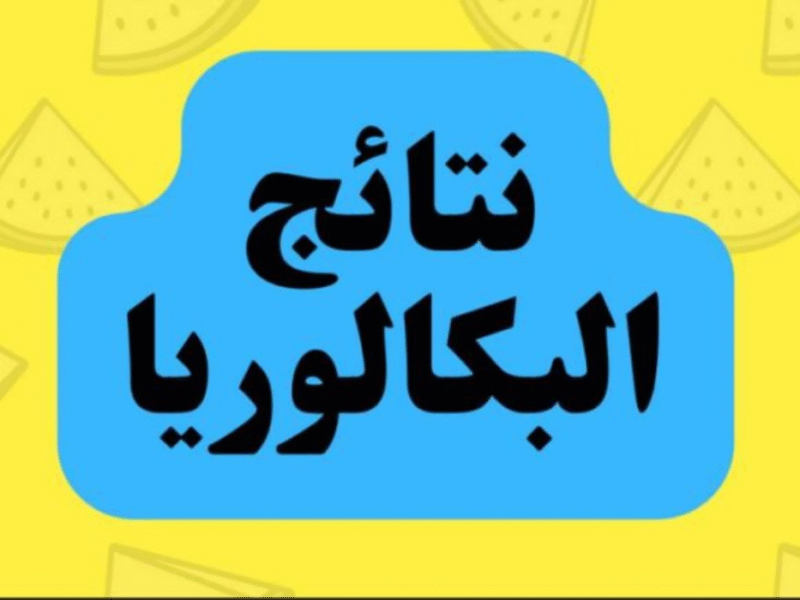 نتائج البكالوريا 2025 سوريا برقم الاكتتاب والاسم عبر موقع وزارة التربية
