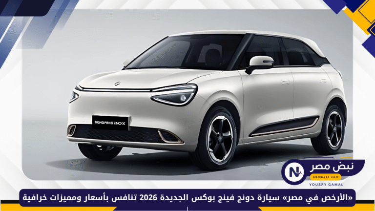 سيارة دونج فينج بوكس