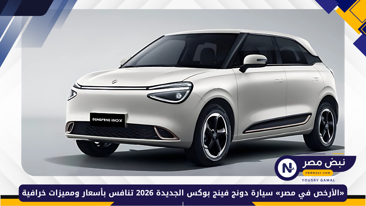 سيارة دونج فينج بوكس