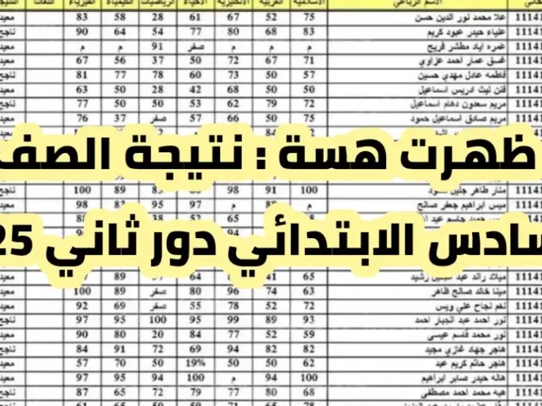استعلم الآن.. رابط نتائج السادس الابتدائي دور ثاني 2025 نينوي – ديالي – النجف – بغداد عبر موقع نتائجنا