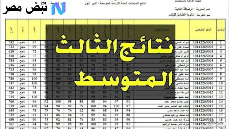 “نتيجتـــك بالــدرجـــات PDF“ نتائج الثالث متوسط 2025 الدور الثاني بغداد/بابل/نينوي موقع moedu.gov.iq
