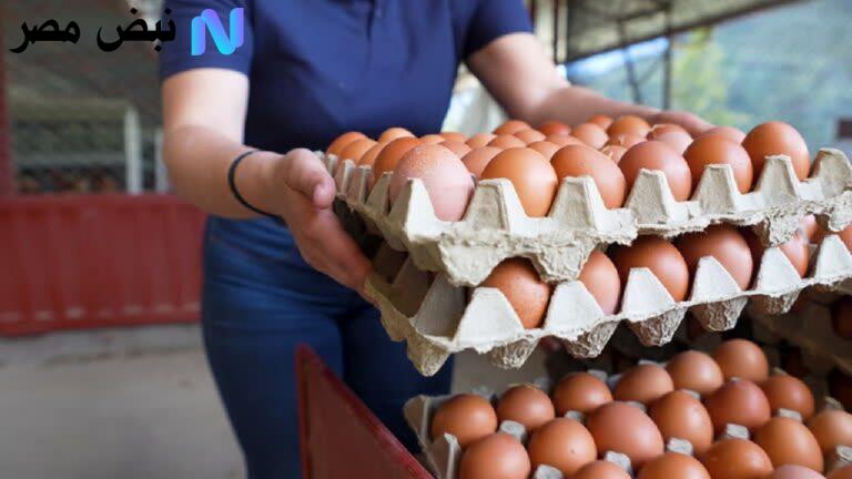 سعر كرتونة البيض البلدي