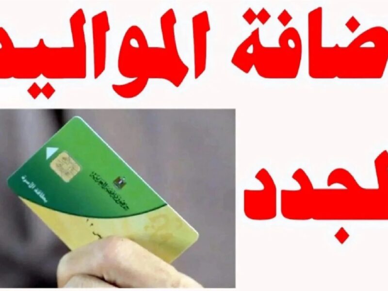 بالشـروط والمستنـدات :: التموين تعلن رابـط البطاقة التموينية اضافة المواليد الجـدد 2025 خـلال digital.gov.eg