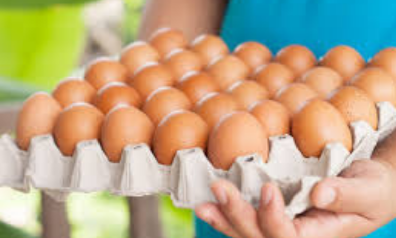 بعد الانهيار.. طبق البيض يتماسك عند 150 جنيهًا! أسعار البيض اليوم الإثنين 8-12-2025 وتفاصيل تعافي الإنتاج لمليون طبق يوميًا.