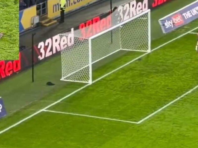 فيديو سنجاب يوقف مباراة كرة قدم مرتين في إنجلترا