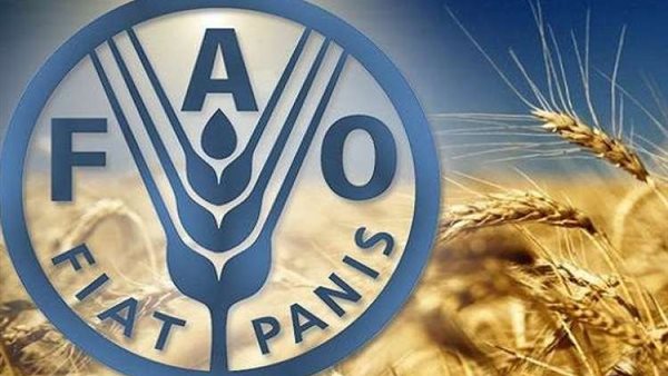 تراجع أسعار المواد الغذائية العالمية يشير إلى تحسن بفضل انخفاض تكاليف الحبوب والزيوت