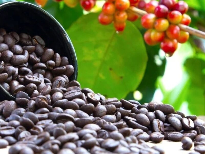 ارتفاع أسعار البن وانخفاض أسعار الفلفل يثير الجدل في الأسواق