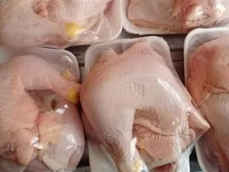 أسعار الفراخ اليوم السبت 7 فبراير تصل إلى 115 جنيهًا