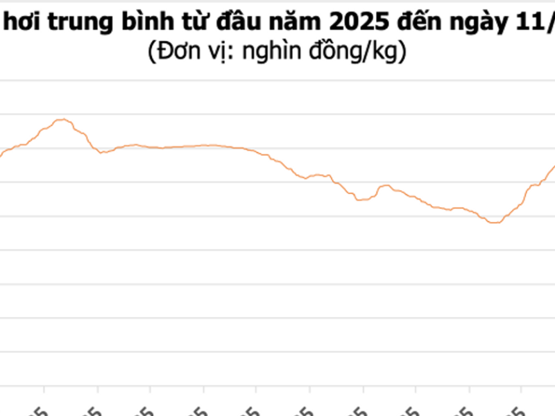 ارتفاع أسعار الدواجن في السوق الفيتنامية مع تسجيل 74000 دونغ لافتاً في شمال ووسط البلاد