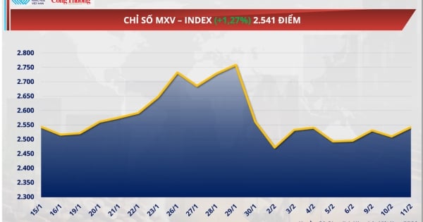 أسعار السكر العالمية تسجل أدنى مستوياتها منذ خمس سنوات