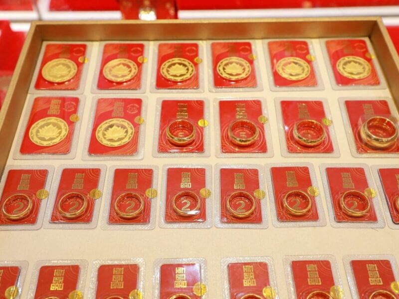 هل ستحقق هذه الفكرة نجاحًا ملحوظًا مع بقاء الـ 181 مليون دونغ فيتنامي في الميزانية؟