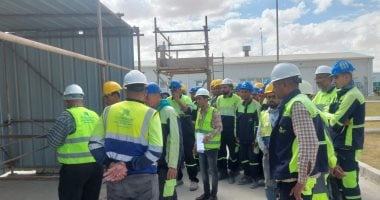 المصانع بحاجة ملحة إلى 951 ألف خريج من التعليم خلال 3 سنوات