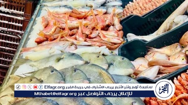 استقرار أسعار الأسماك بأسواق أسوان في 9 فبراير 2026