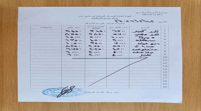 أسعار الأسماك في العاصمة عدن تتأرجح اليوم الخميس 12 نوفمبر 2026