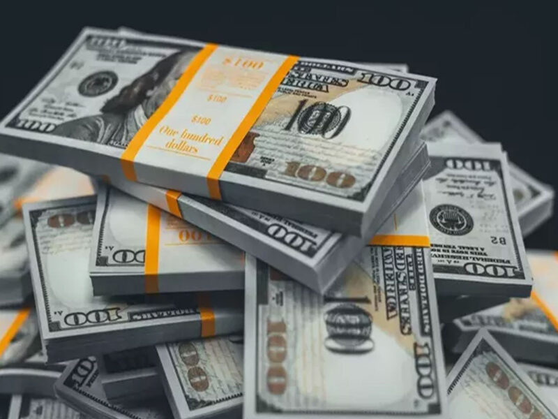 استقرار سعر الدولار أمام الجنيه في ختام تداولات اليوم