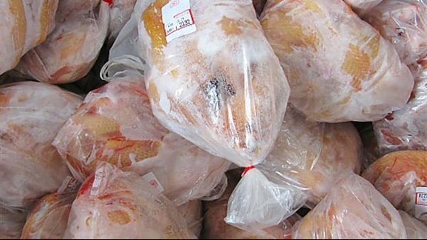 انطلاق ضخم لعملية ضخ آلاف الأطنان من الدواجن المجمدة في السوق