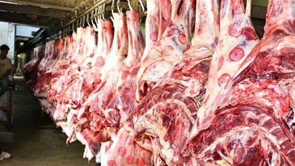 أسعار اللحوم الحمراء في الأسواق اليوم السبت 7 فبراير 2026