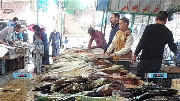 أسعار الأسماك والمأكولات البحرية في السويس تتألق اليوم الخميس 12 فبراير
