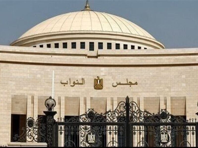 مواجهة 40 تاجرًا يسيطرون على أسعار الدواجن.. طلبات إحاطة أمام البرلمان