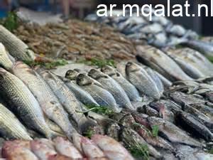 استقرار أسعار السمك في الإسكندرية اليوم.. البلطي البرلسي يُعرض بـ95 جنيهاً