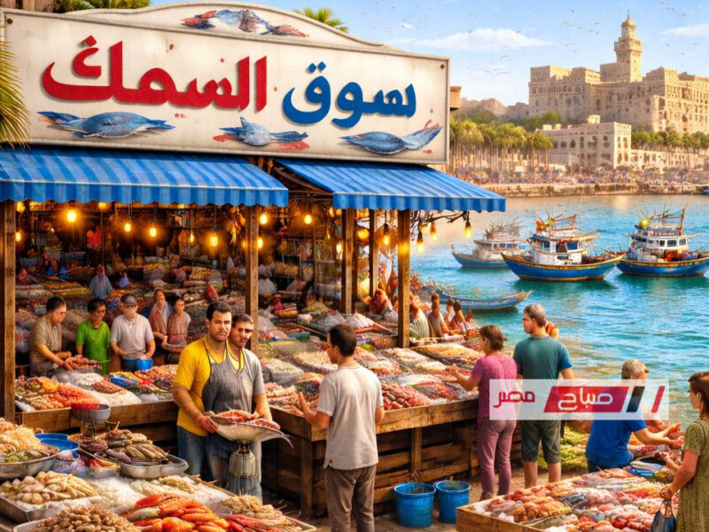 تحديث يومي لأسعار الأسماك والمأكولات البحرية في الإسكندرية