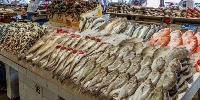 أسعار الأسماك تتصدر المشهد اليوم الجمعة 6 فبراير 2026 الأسبوع الجاري