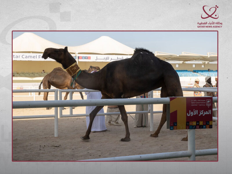 اكتشافات جديدة تعزز مكانة قطر في مجالات البحث العلمي والابتكار