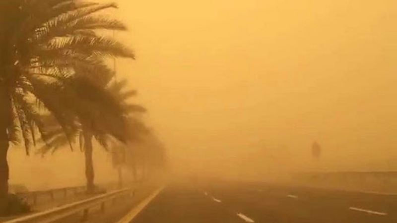 زخات الأمطار تعزز الأمل في أقصى الشمال مع رياح رملية تعصف بالمنطقة