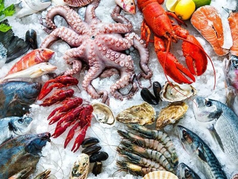 أسعار السمك تتصدر المشهد في الأسواق اليوم الإثنين 9 فبراير 2026