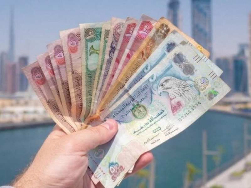 تحديثات سعر الدرهم الإماراتي مقابل الجنيه المصري في البنوك اليوم