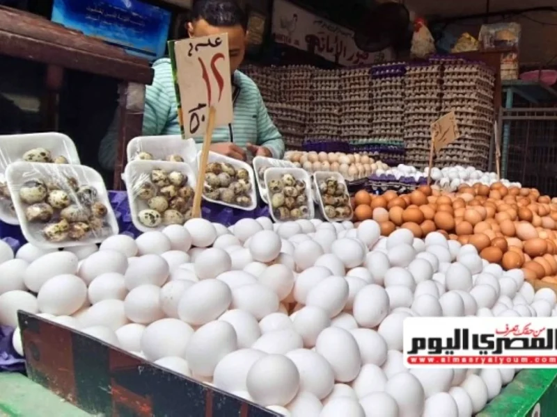 أسعار البيض تستقر والطبق يسجل 130 جنيها
