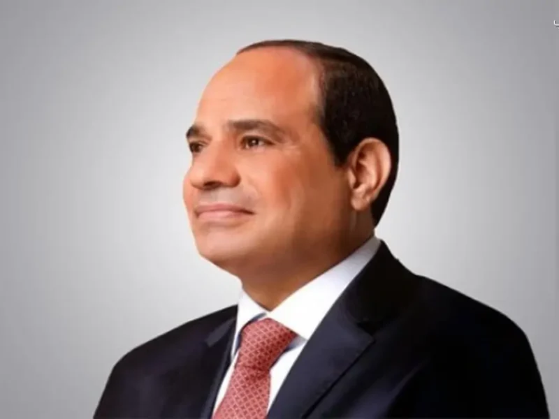 علاقات مصر والجزائر: أساسها التعاون والنضال المشترك وفقاً للرئيس السيسي