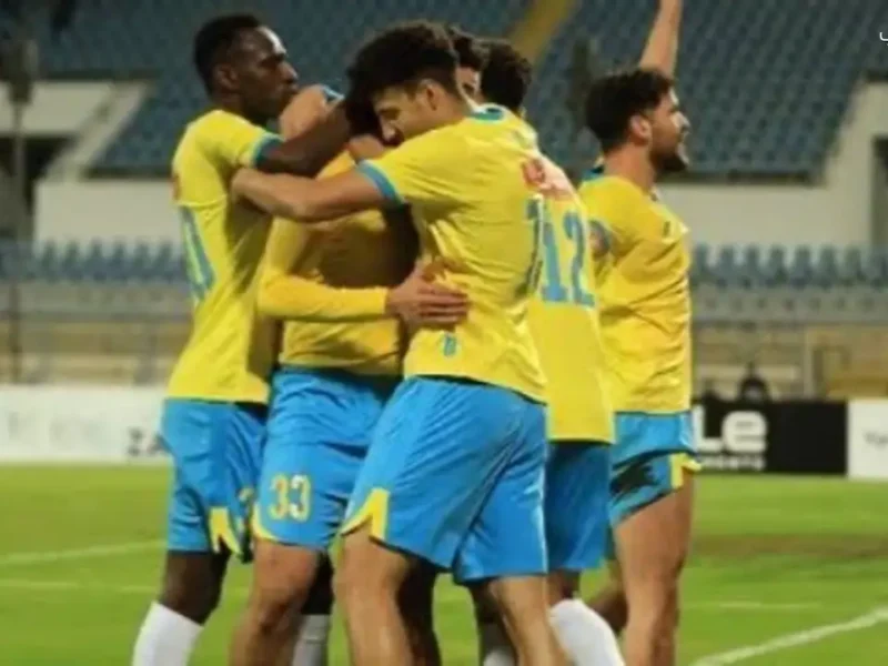 الإسماعيلي: استمرار اللجنة المؤقتة وتفاصيل جديدة حول الاستثمارات المستقبلية