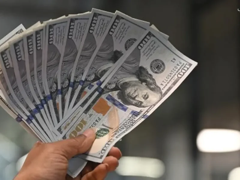 استقرار سعر الدولار يعكس الثبات في الأسواق المحلية والعالمية 11 فبراير 2026