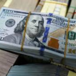 استقرار سعر الدولار مقابل الجنيه المصري في نهاية تعاملات اليوم الأحد 22 مارس 2026