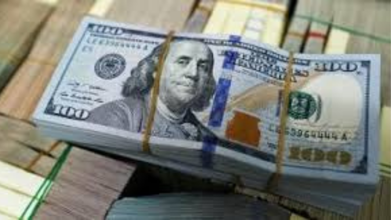 سعر الدولار اليوم في مصر الجمعة 20 مارس 2026