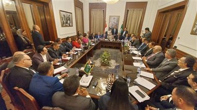 بيت الخبرة الوفدى والهيئتان البرلمانيتان بمجلسى النواب والشيوخ تقدم روشتة لعلاج أزمات القضايا الأسرية