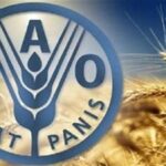 30% من حجم تداول الأسمدة عالميًا تمر عبر مضيق هرمز